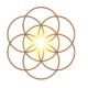 logo adela llerena, coaching de empresas y emprendimientos conscientes
